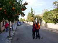 Fina apelsinträd längs gatan, där de bor.